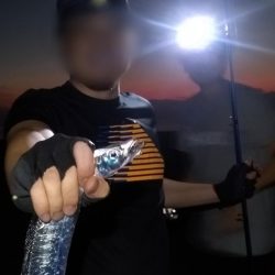 初タチウオ爆裂